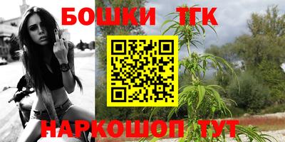 Альфа ПВП Будённовск