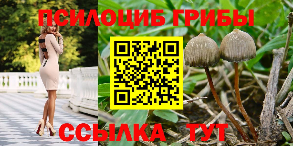 Радужный  Галлюциногенные грибы Psilocybe  Галлюциногенные грибы Psilocybine cubensis  Вход с VPN 