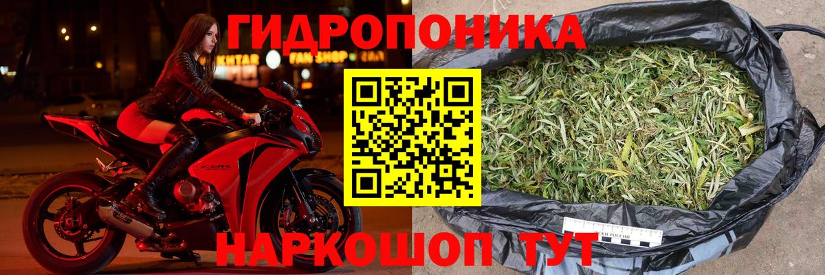 Шишки марихуана AK-47 Радужный